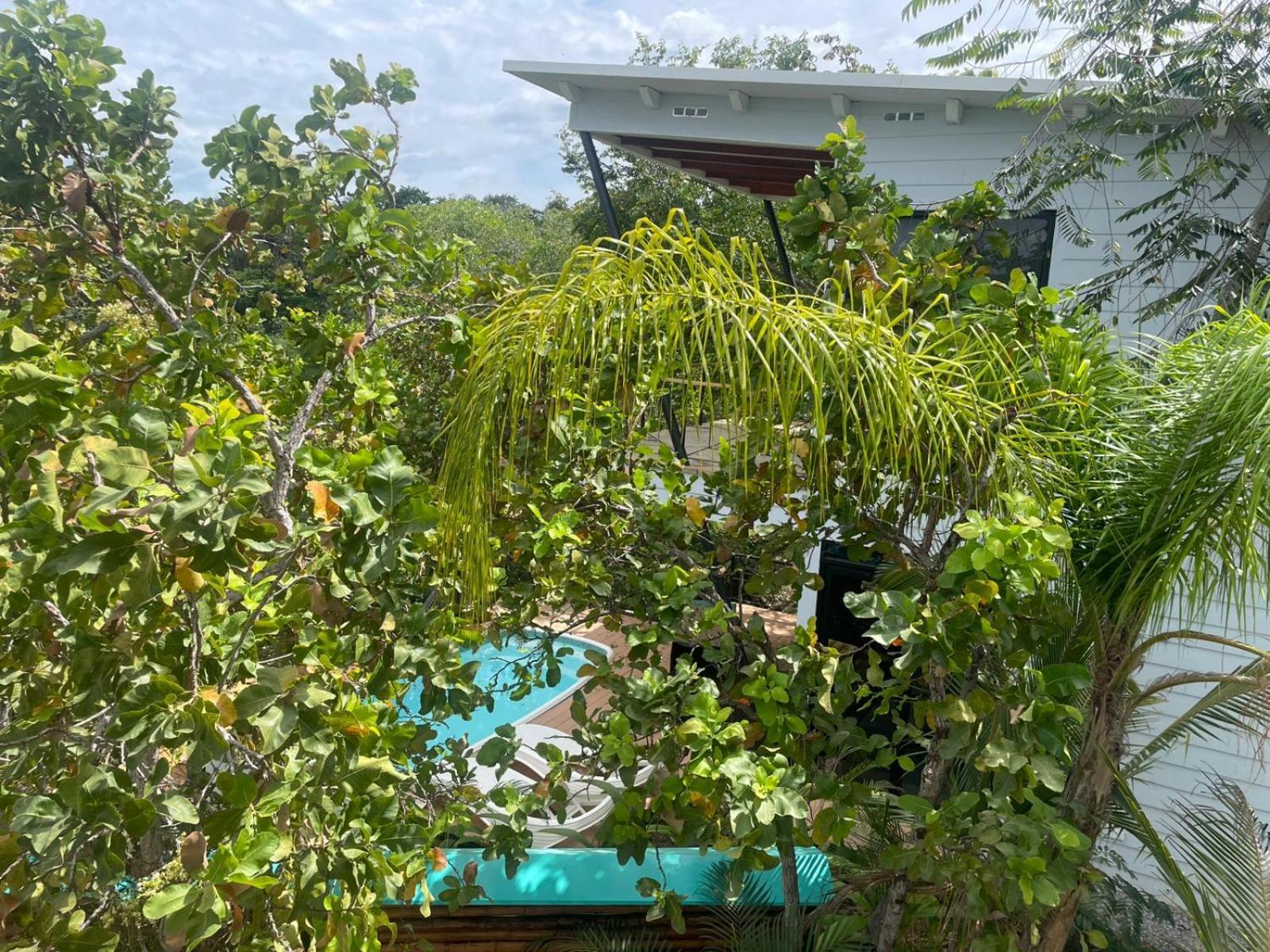 Villa Azul Boca Chica Kültér fotó