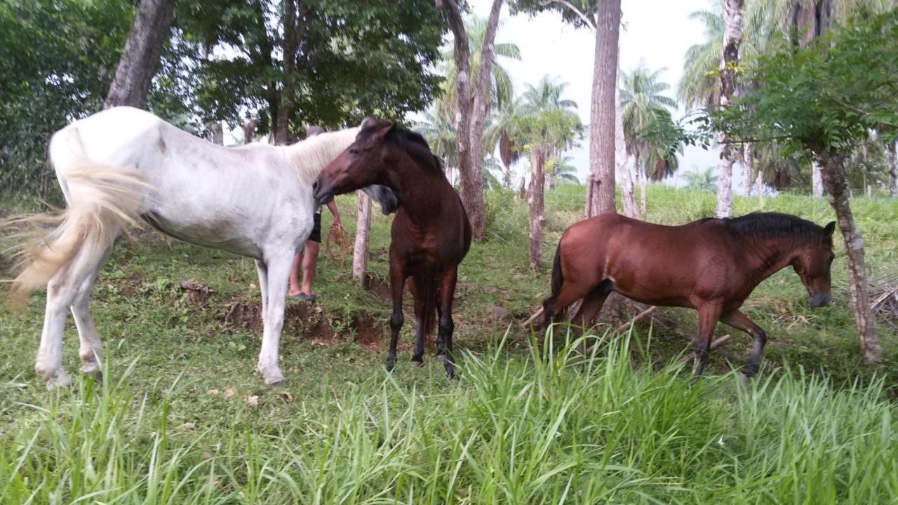 Villa Azul Boca Chica Kültér fotó