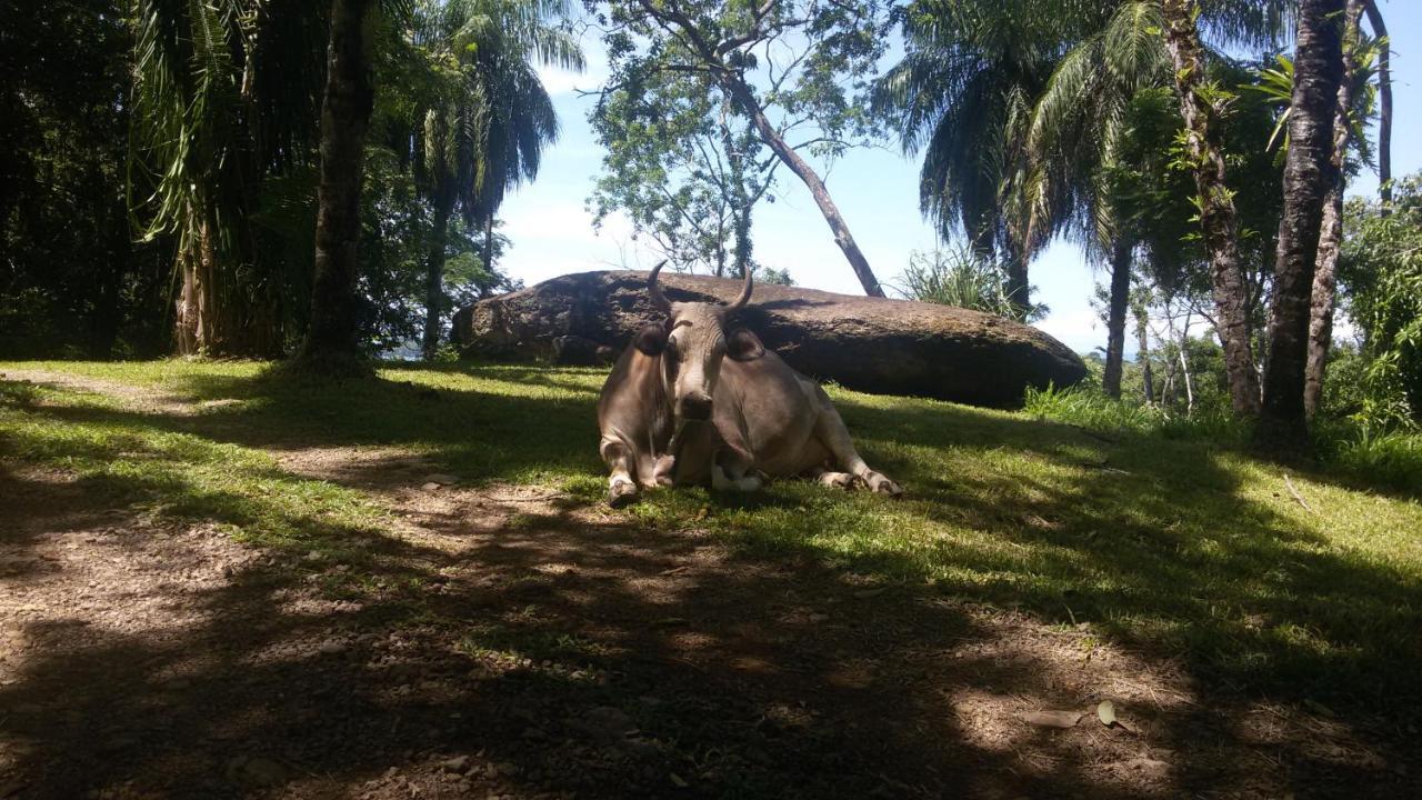 Villa Azul Boca Chica Kültér fotó